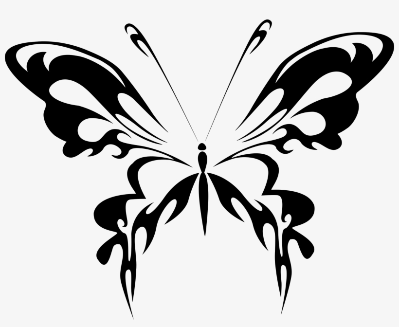Butterfly Black And White Png - Black And White Butterfly Pdf, transparent png