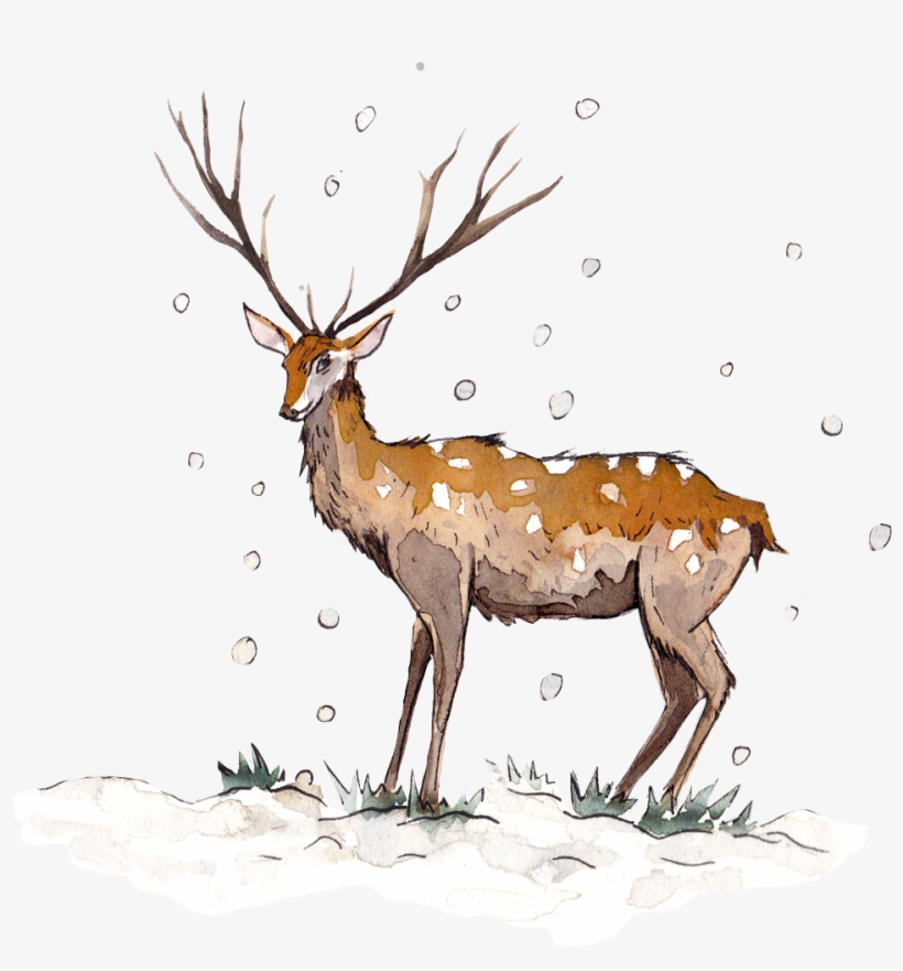 Nuevos Propósitos Para El - Reindeer, transparent png