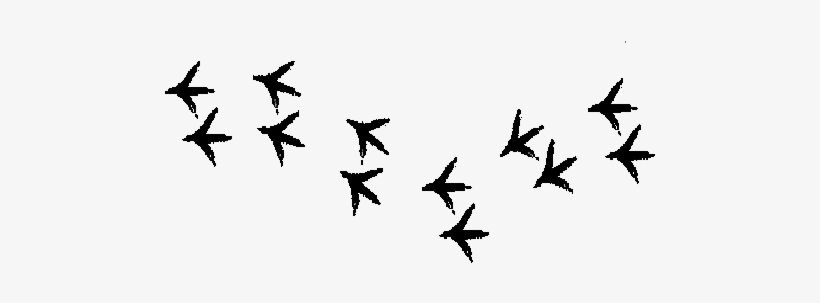 Chicken Tracks - On Hip - Chicken Tracks, transparent png