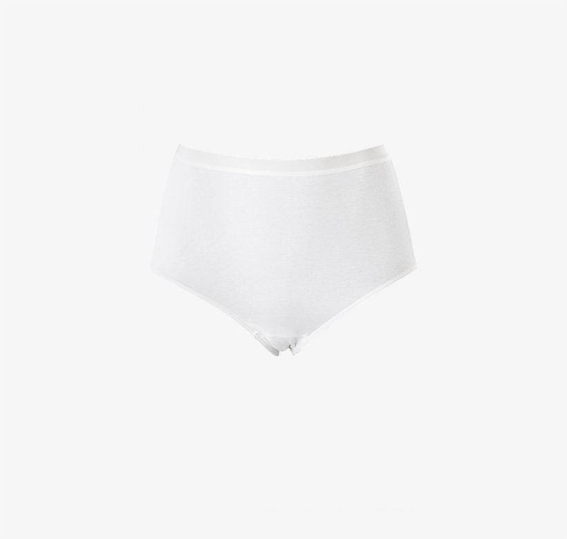 High Cut Cotton/spandex Panty - Panties, transparent png