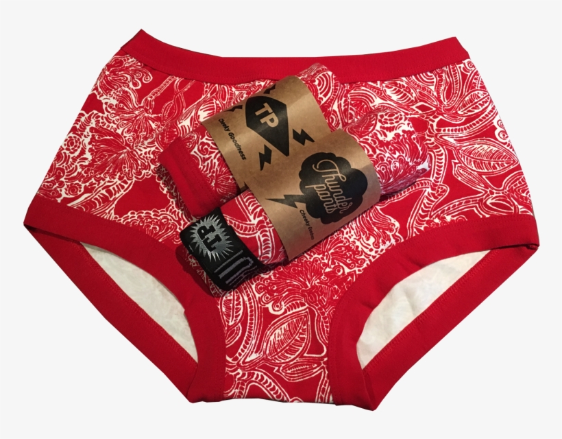 Matching Undies To Artwork For New Zealand's Native - New Zealand Christmas Tree, transparent png