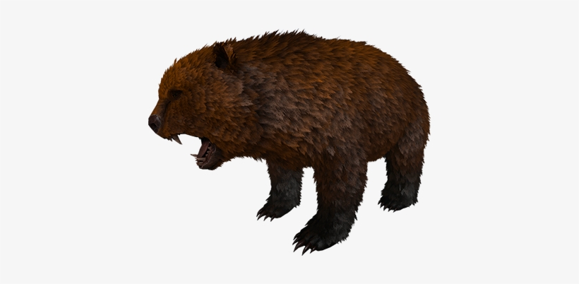 Direbear - New Dire Bear Ark, transparent png