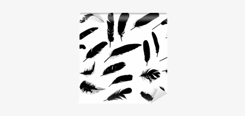 Twenty Six Black Feathers On White Wall Mural • Pixers® - White, transparent png