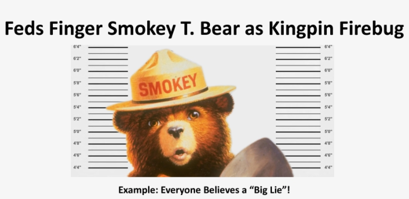 Recently It's Been A Proven Fact, To Me Anyway, That - Smokey The Bear, transparent png