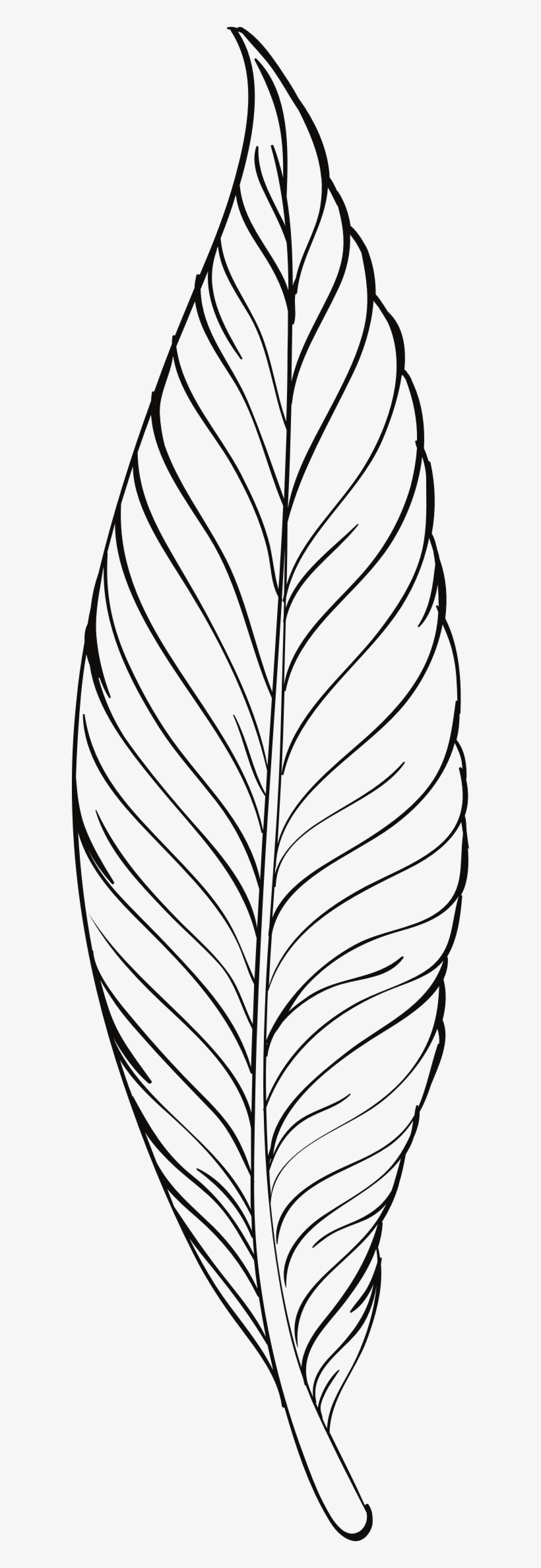 This Free Icons Png Design Of Feather Line Art, transparent png