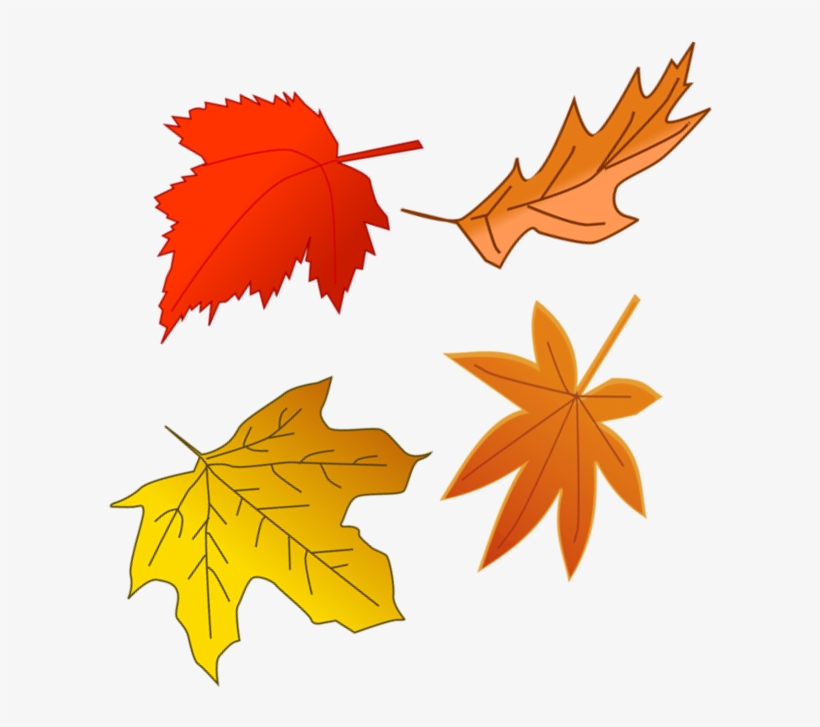 Autumn Is Very Much A Time Of Celebration The Harvest - Maple Leaf, transparent png