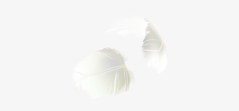 Sample Product Modeling 2 Product Feathers - Darkness, transparent png
