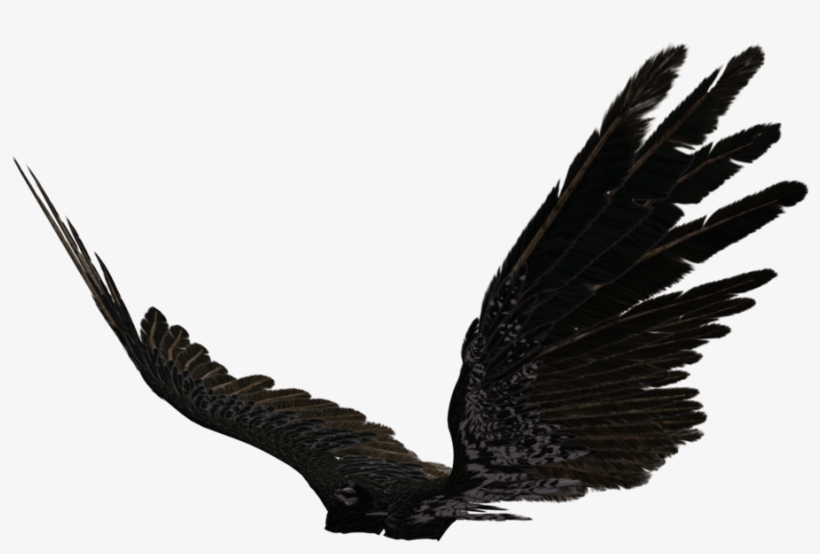 Picture Of Dark Angel Wings Allofpicts - Black Angel Wings Side View, transparent png