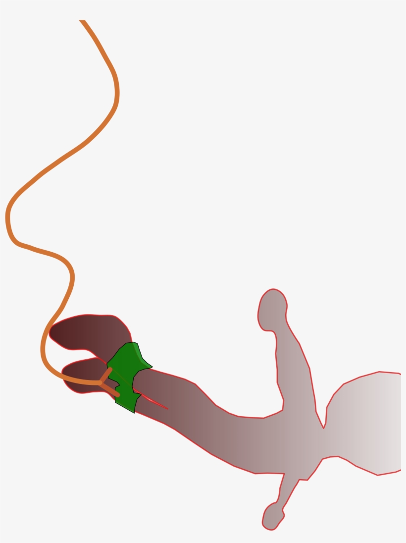 Bungee Jumping Big Image Png - Bungee Jump Png, transparent png
