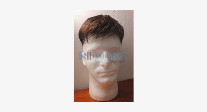 Male Wig Stand Storage Box - Lace Wig, transparent png