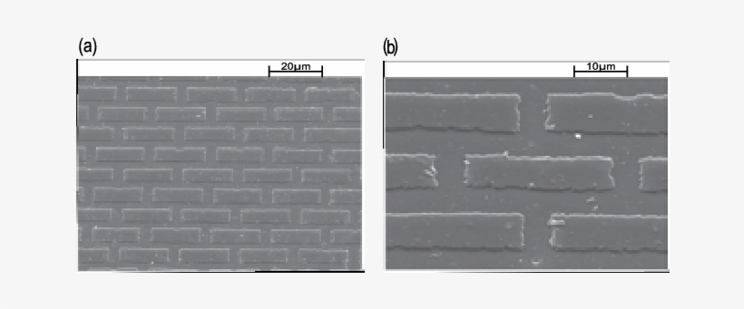 Sem Structures For Brick And Mortar Pattern In Keratin - Brick, transparent png