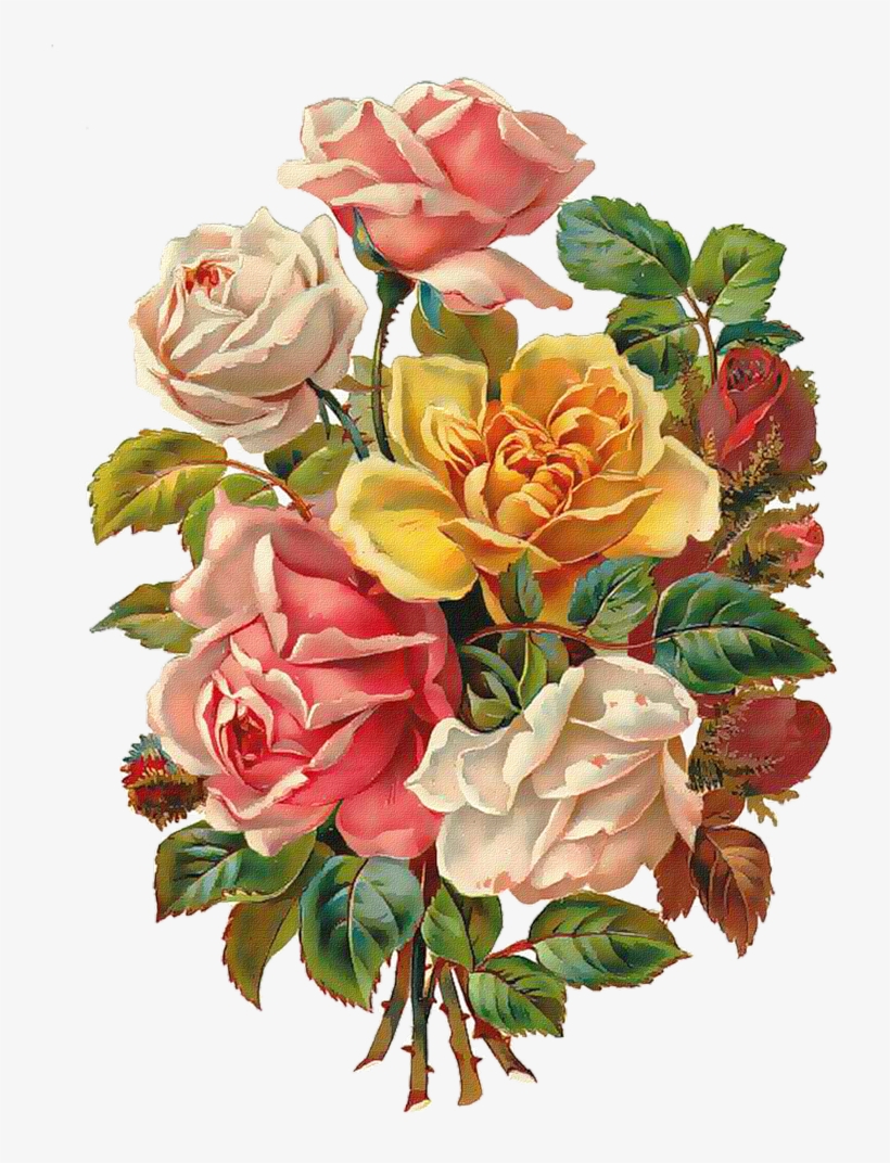 Vintage Roses Scrap - Very Nice Pictures Of Flowers, transparent png