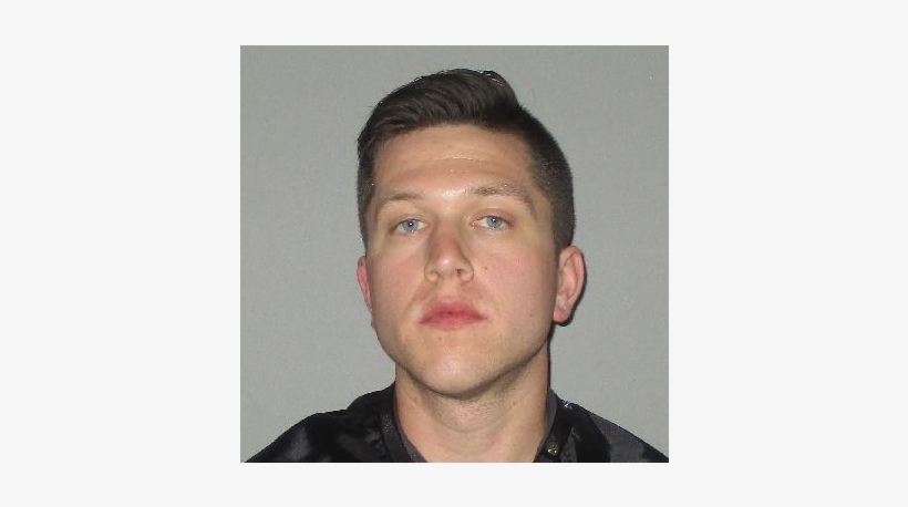 Palm - Flagler County Sheriff's Office, transparent png