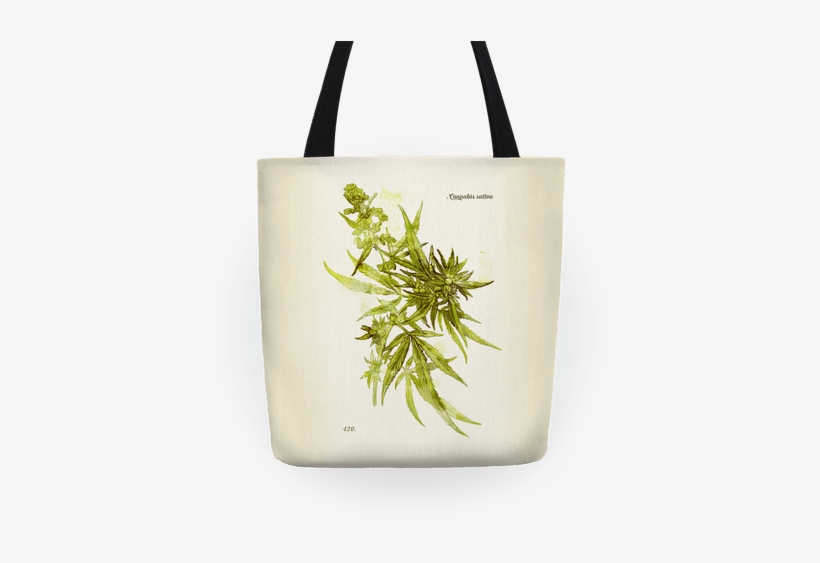 Cannabis Botanical Illustration Tote Bag - Cannabis Botanical Illustration, transparent png