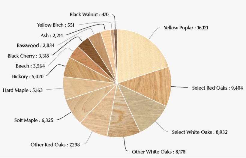 Leave - Hardwood, transparent png