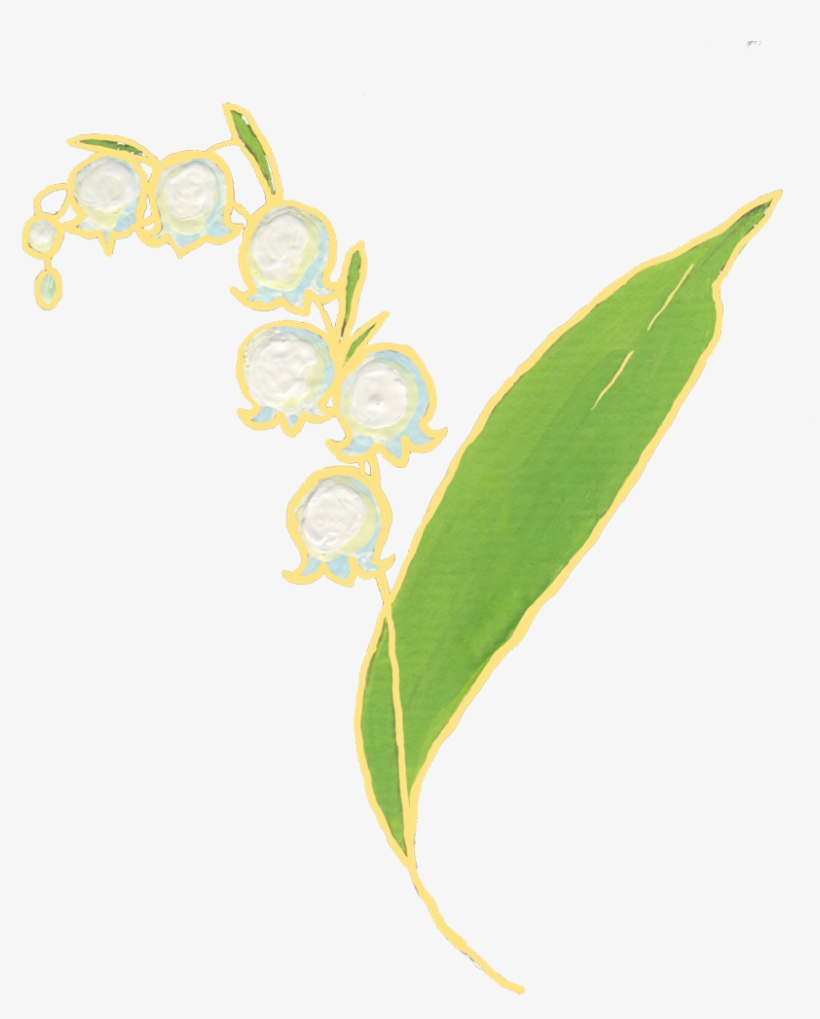 First Of All, Maybe The Quotation Is Questioning Our - Lily Of The Valley Corners Png Transparent, transparent png