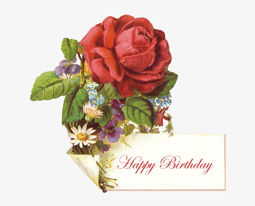 Vintage Birthday Greeting With Red Rose - Birthday Vintages Red Roses, transparent png