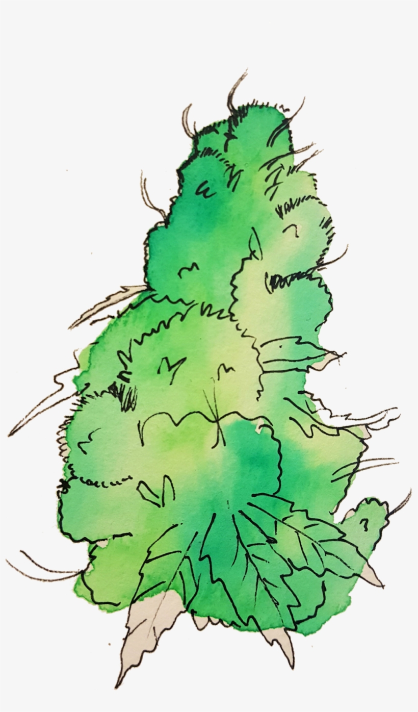 Click To Enlarge Pot 5 - Portable Network Graphics, transparent png