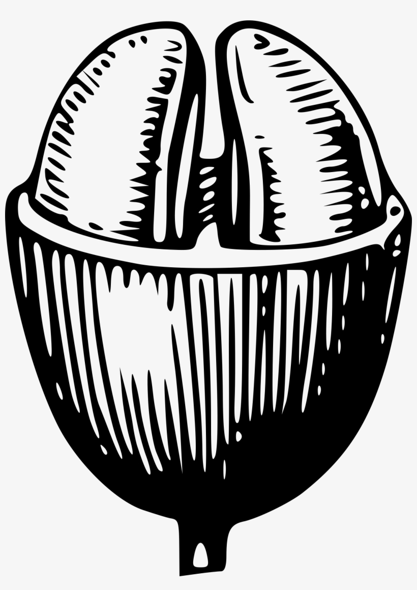 Free Vector Coffee Bean Clip Art - Black Coffee Bean Illustration, transparent png
