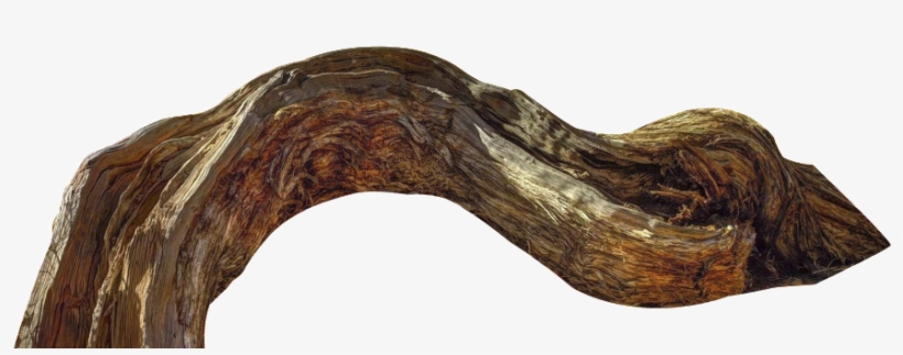 This Product Design Is Curved Wood Branch Cartoon Transparent - Wood, transparent png