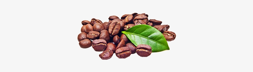 Vqm's Hermetic Storage Technique Works Perfectly For - Photography, transparent png