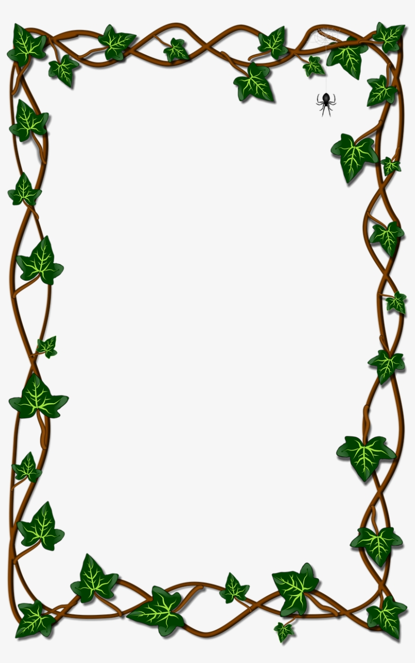Leaf Ivy Flora - Leaf, transparent png
