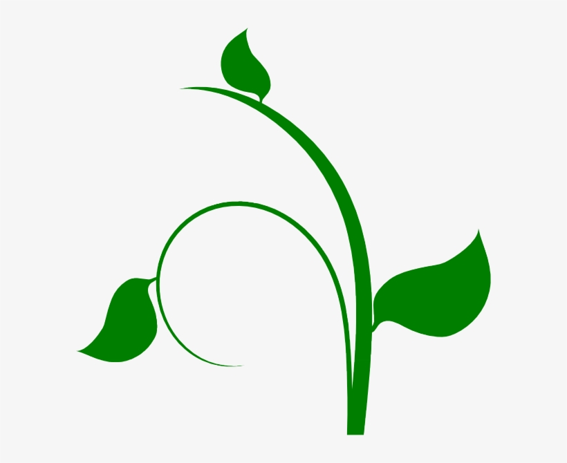 How To Set Use Vine Clipart, transparent png
