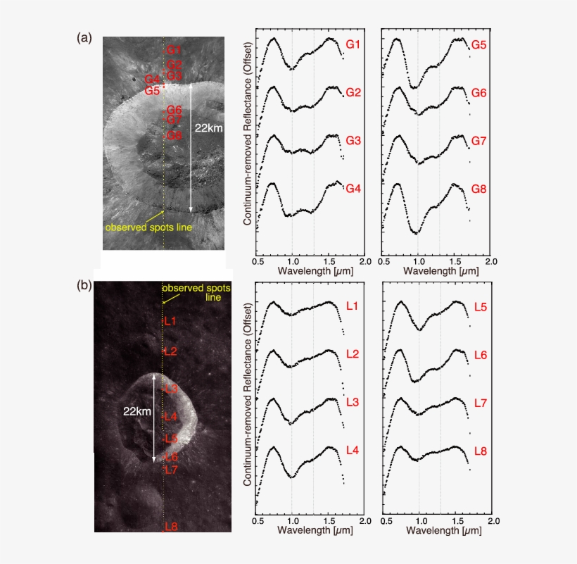 Sp Spectra With Context Images Around Giordano Bruno - Diagram, transparent png