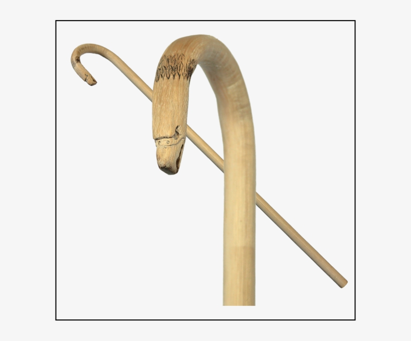 Eagle Head Horn On Pure Hickory Heartwood Thumper Stock - Plywood, transparent png