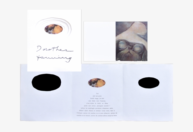 Invitation Cards 1967-1974 - Otter, transparent png