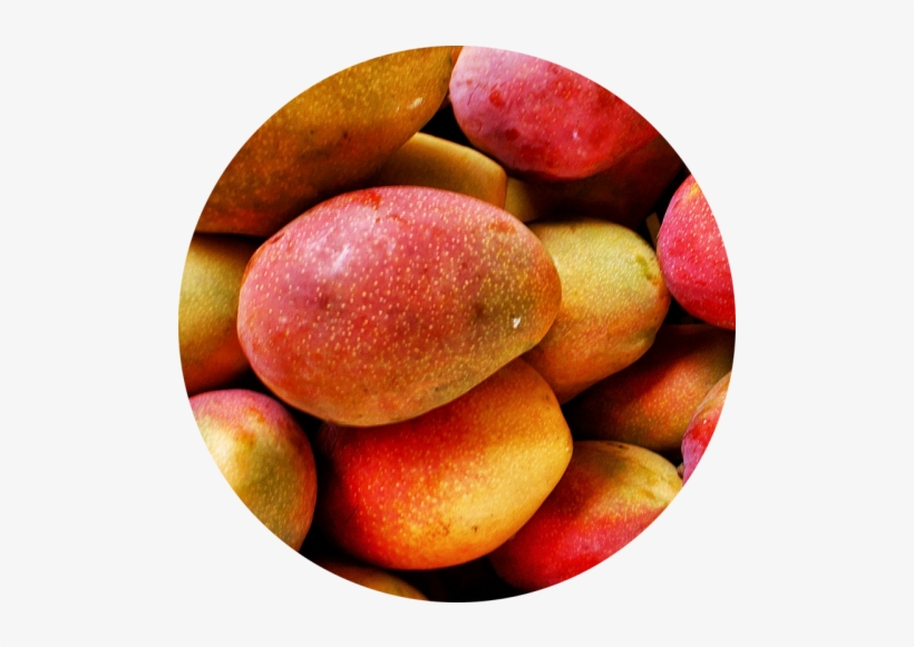Mango Juice - Mango Flickr, transparent png