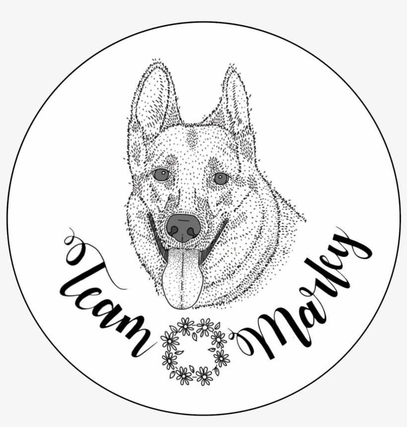 I Drew The Site Dogs Of, transparent png