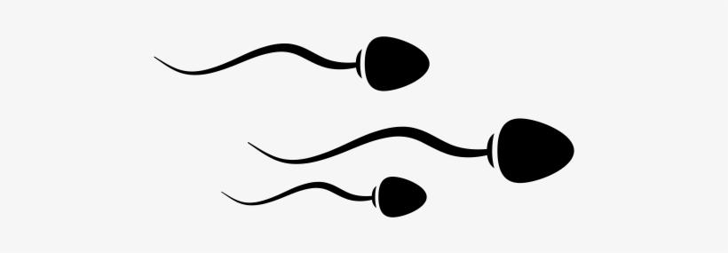 Sperm Icon, transparent png