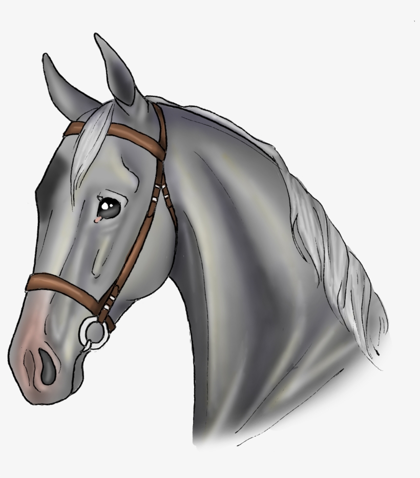 Oreo - Stallion, transparent png