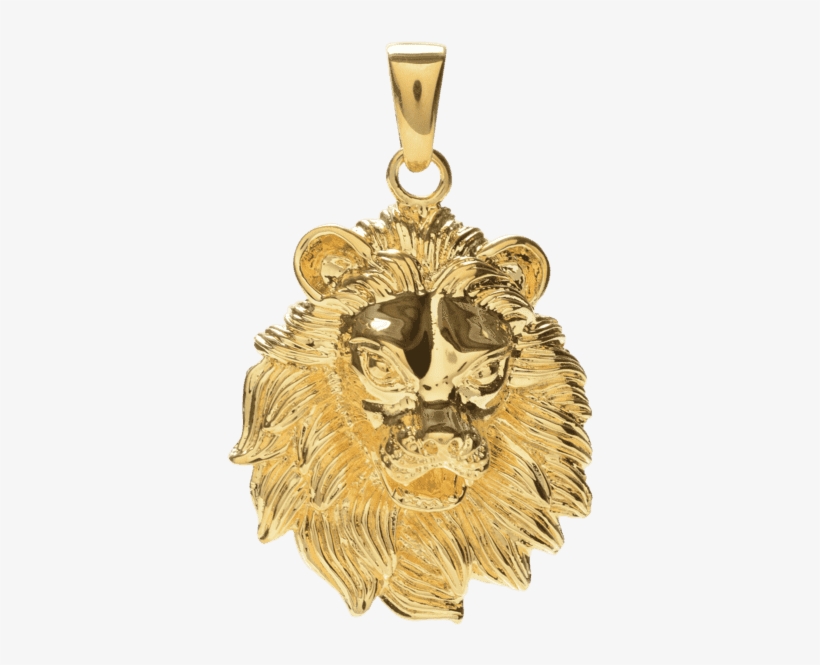 Pendant 0006 Lion Grande 8d29a254 831f 4288 Aefa Bb77904b8031 - Locket, transparent png