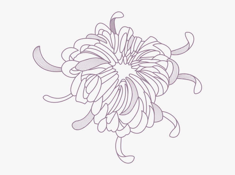 Flower Outline - Flower, transparent png
