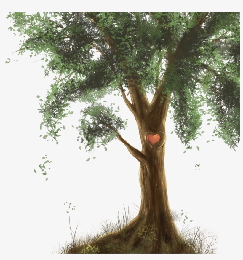 The Tree Trunk - Plants Png, transparent png