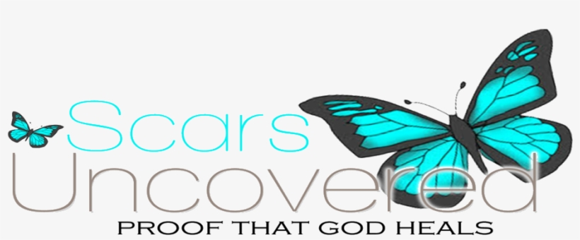 Scarsuncoveredcedit - Lycaenid, transparent png
