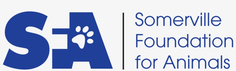 Our Sponsors - Sony Logo Make Believe, transparent png