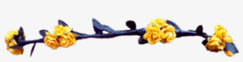 Earrings, transparent png