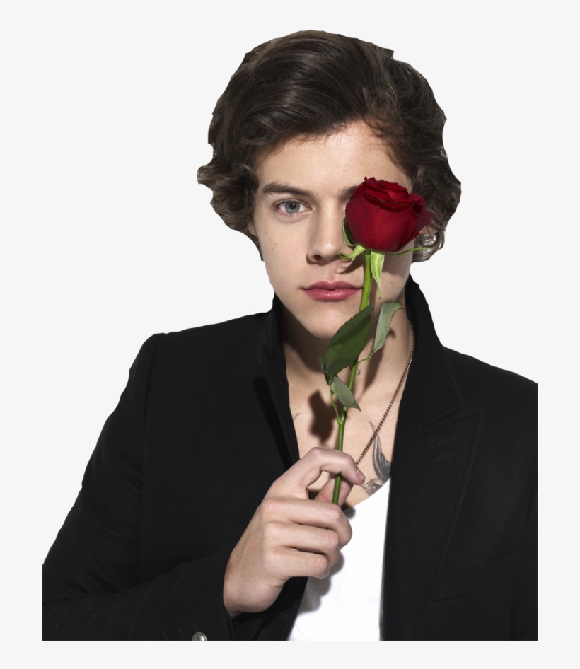 #гарри Стайлс #ван Дирекшен #роза #png #harry Styles - Harry Styles With Rose, transparent png