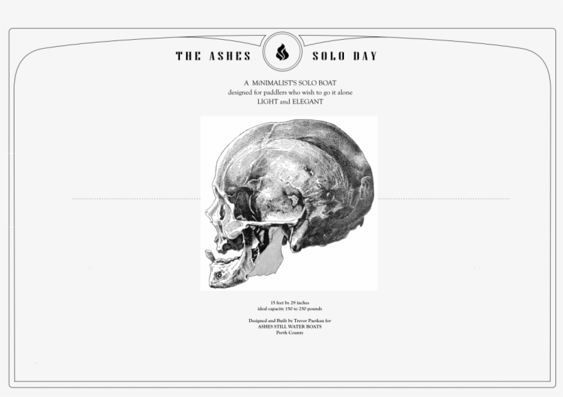 Ashes Solo Day Cover 1200 - Bison, transparent png