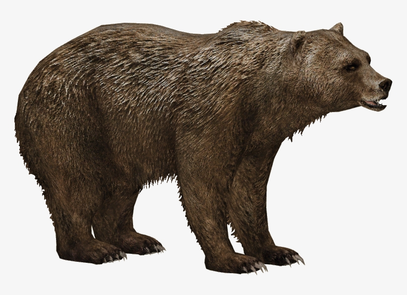 Grizzly Bear - Short Faced Bear Png, transparent png