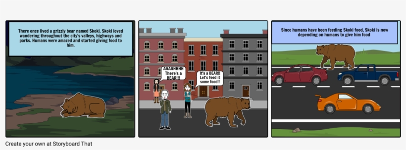 Skoki The Bear - Storyboard, transparent png