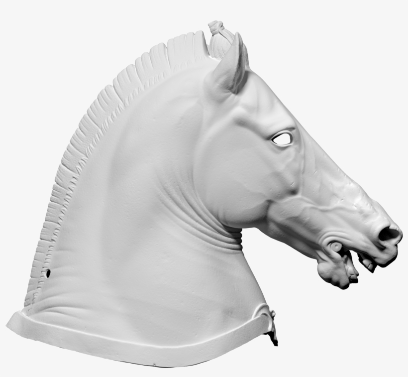 3d Scan Of Horse Head, transparent png