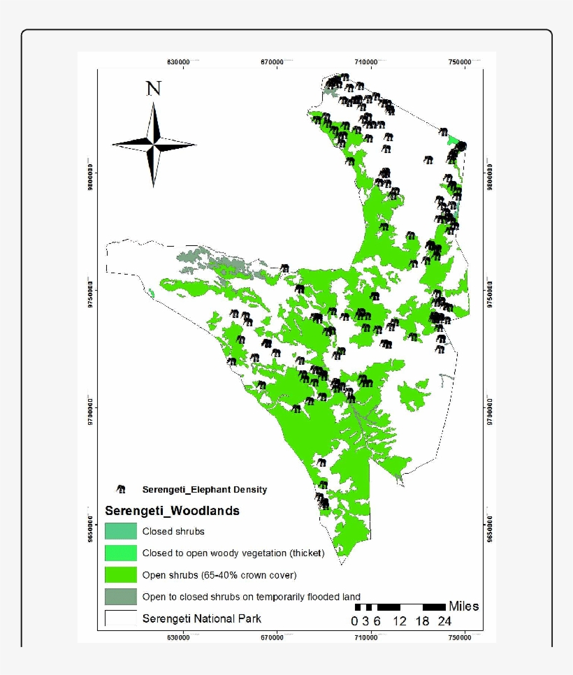 Woodlands In Serengeti National Park - Atlas, transparent png