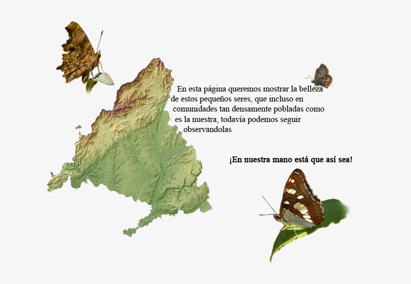 En Esta Página Queremos Mostrar La Belleza De Estos - Madrid Xaritasi, transparent png