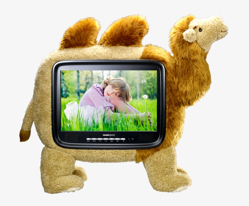 Hannscamel 19″ Tv - Hannspree Fernseher, transparent png