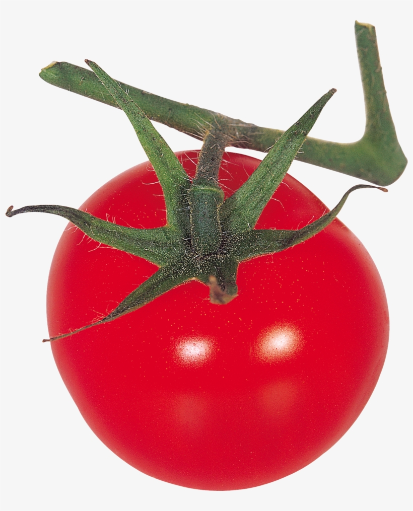 Tomato Png, Download Png Image With Transparent Background, - Plum Tomato, transparent png