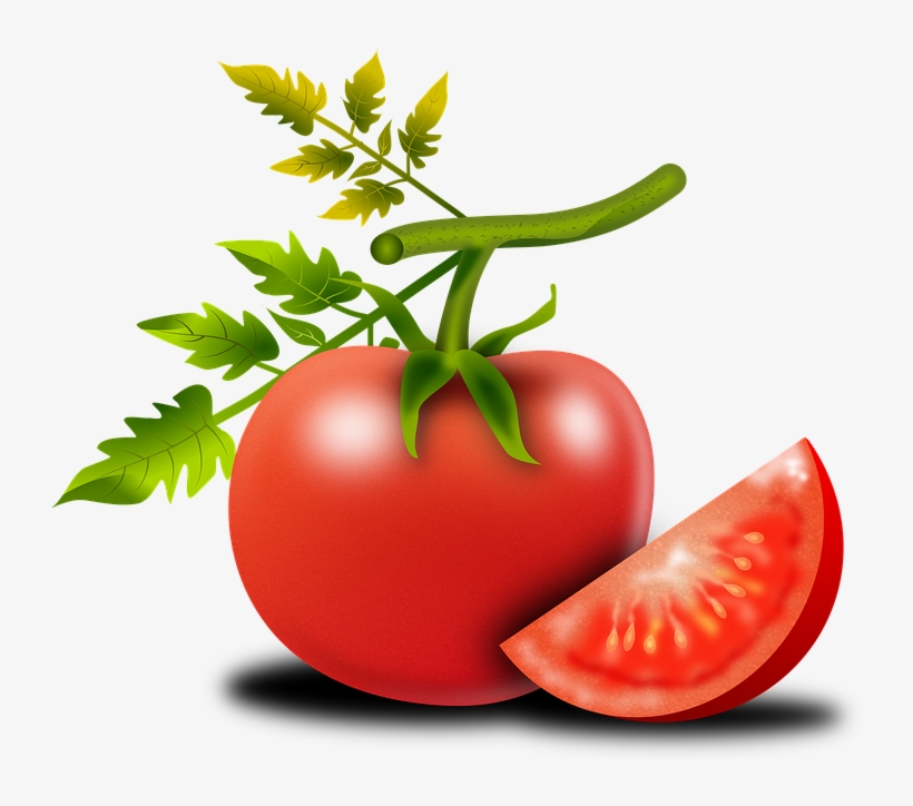 Tomato Png Shop Of Library Buy Clip Ⓒ - มะเขือเทศ Png, transparent png